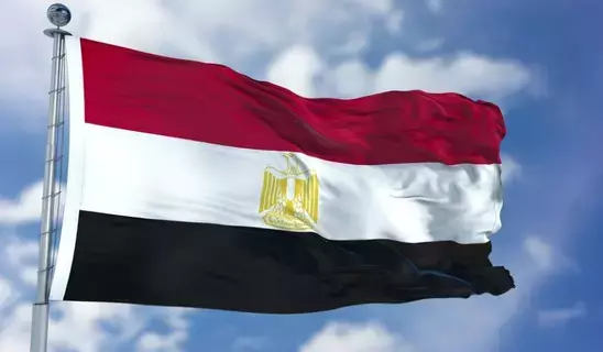 ما علاقة الناموس بنشوب حريق في مصحة نفسية بمصر ما علاقة الناموس بنشوب حريق في مصحة نفسية بمصر