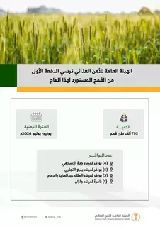 إرساء الدفعة الأولى من القمح المستورد هذا العام إرساء الدفعة الأولى من القمح المستورد هذا العام