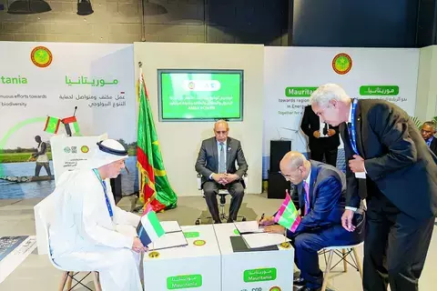 «إيميا باور» تعتزم زيادة رأسمالها 300 مليون دولار بدخول شركاء جدد «إيميا باور» تعتزم زيادة رأسمالها 300 مليون دولار بدخول شركاء جدد