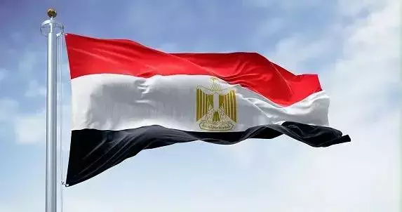 مصر تبلغ إسرائيل بتجميد وساطتها بعد اغتيال العاروري مصر تبلغ إسرائيل بتجميد وساطتها بعد اغتيال العاروري