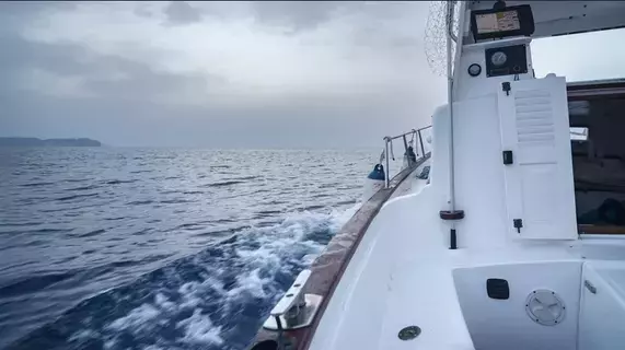 «معجزة» في نيوزيلندا.. إنقاذ صياد تاه يوماً كاملاً في المحيط «معجزة» في نيوزيلندا.. إنقاذ صياد تاه يوماً كاملاً في المحيط