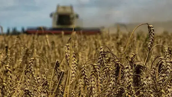 50 ألف طن من الحبوب الروسية إلى إفريقيا الوسطى 50 ألف طن من الحبوب الروسية إلى إفريقيا الوسطى