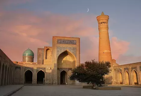 بُخارى.. منجم العلماء بُخارى.. منجم العلماء