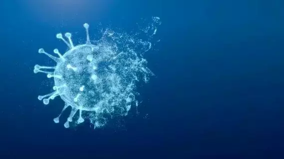 عقبات لا تزال ماثلة أمام الاتفاق على سبل مواجهة الجوائح عقبات لا تزال ماثلة أمام الاتفاق على سبل مواجهة الجوائح